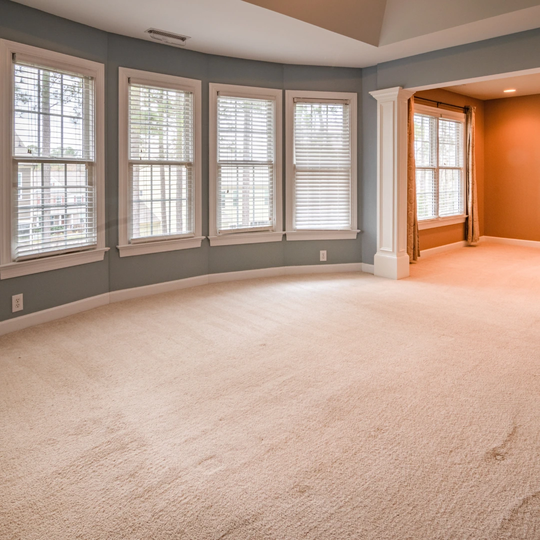 affordable carpet cleaning in dublin