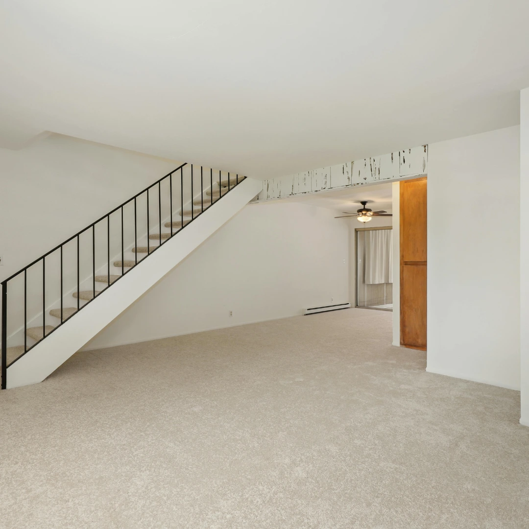 carpet cleaner in dublin